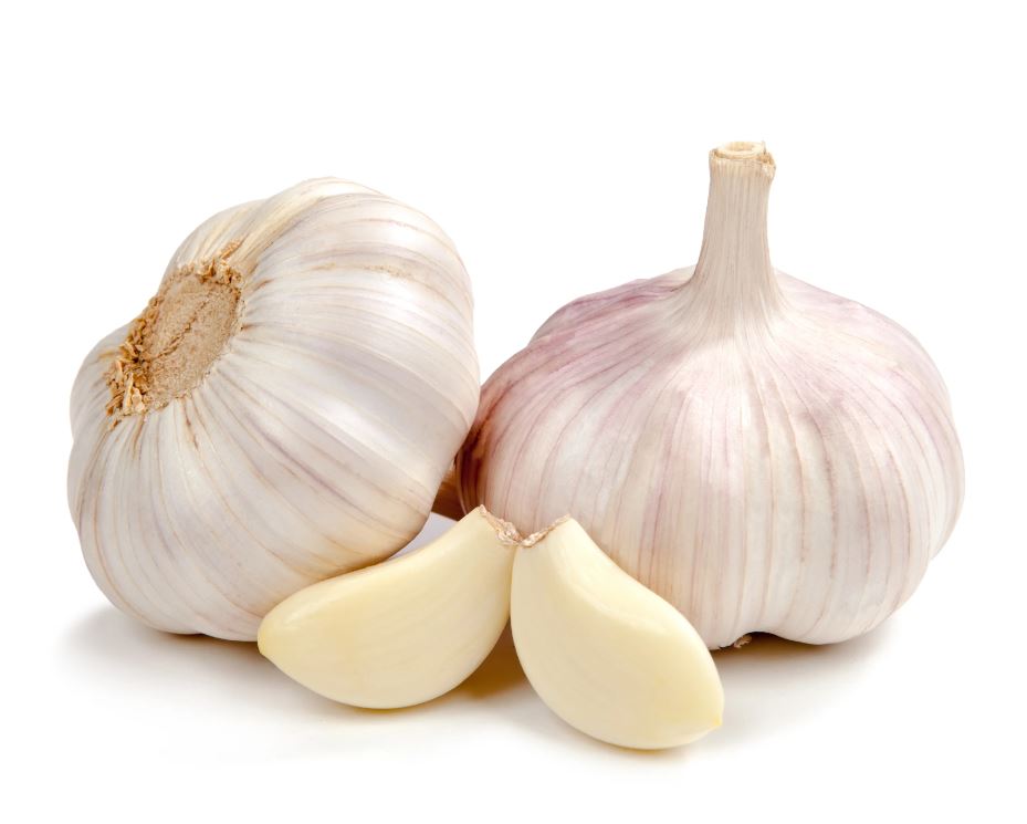 garlic