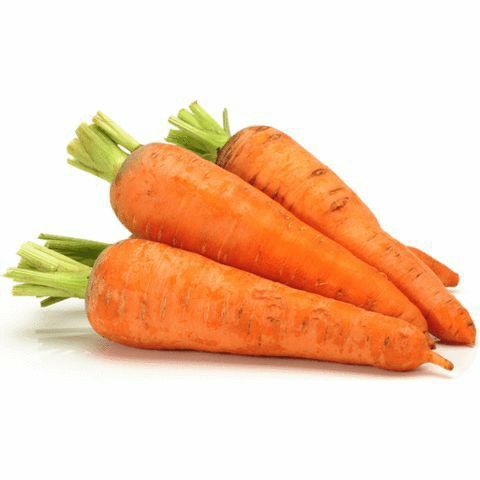 carrot